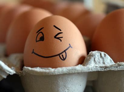 Australians view egg farms as better for the environment - Inside FMCG