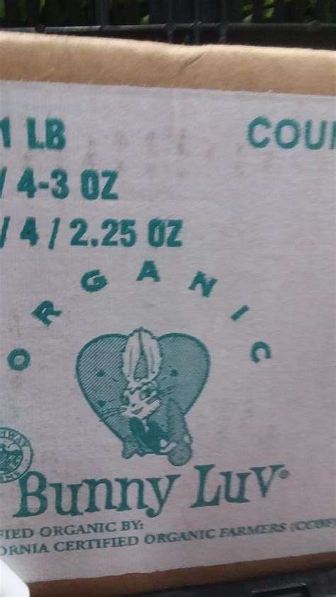 Some bunny luv? : r/Funnypics