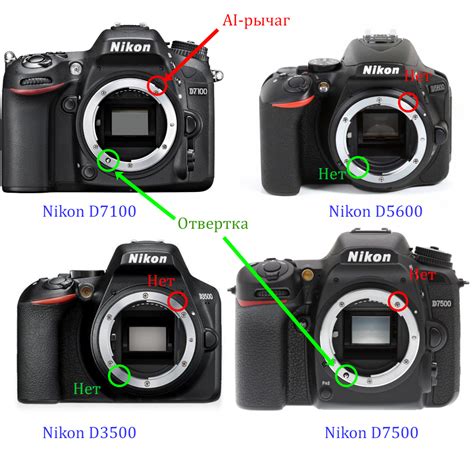 Зеркалка Nikon D5600. Примеры портретов на мануальный фикс Vivitar ...