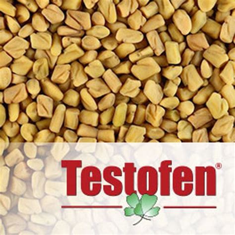 Testofen Improves Androgen Deficiency, Increases testosterone ...