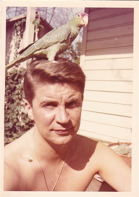 vintage birds-12 - Flashbak