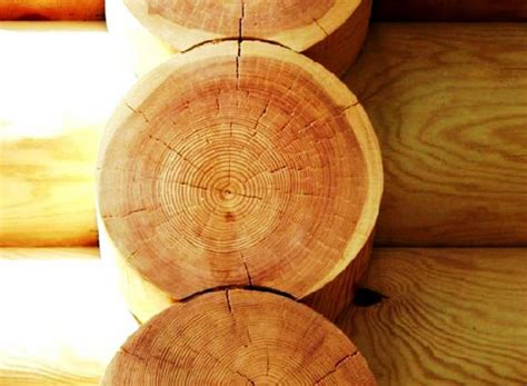 Оцилиндрованное бревно. Продажа и производство оцилиндрованного бревна ...