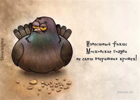 Смешные рисунки