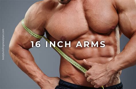 average arm length for men 3