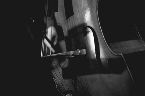 🔥 [80+] Cello Wallpapers | WallpaperSafari