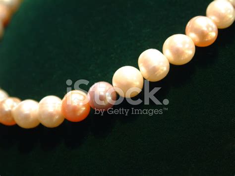 string  pearls stock photo royalty  images freeimages