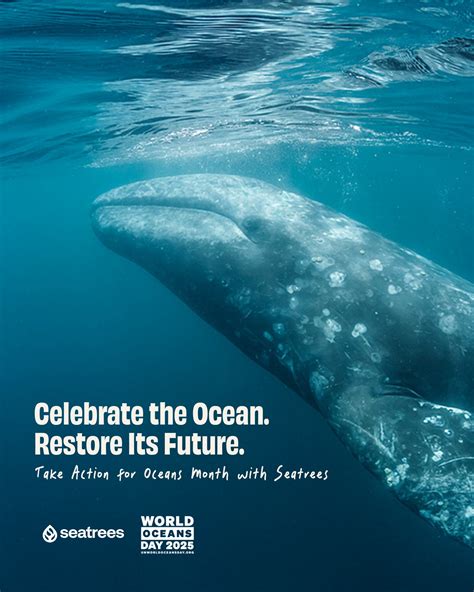 Woodland Acres Townhomes | Liverpool NY