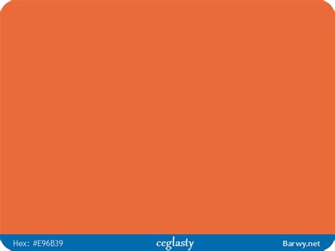 Kolor RGB HEX E96B39 - ceglasty - pomarańczowo-czerwony - Barwy.net
