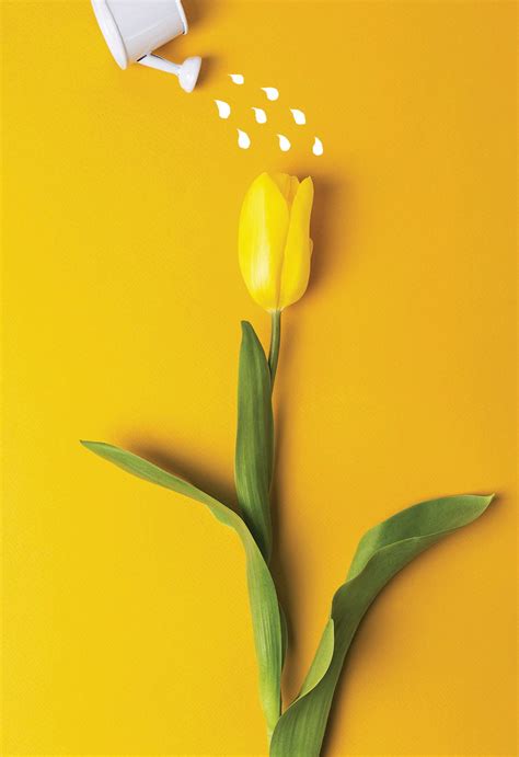 THESE small changes CAN TRANSFORM YOUR health | Good House Keeping - US