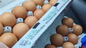 Six Million Eggs Recalled Over Salmonella Risk - Cheapism