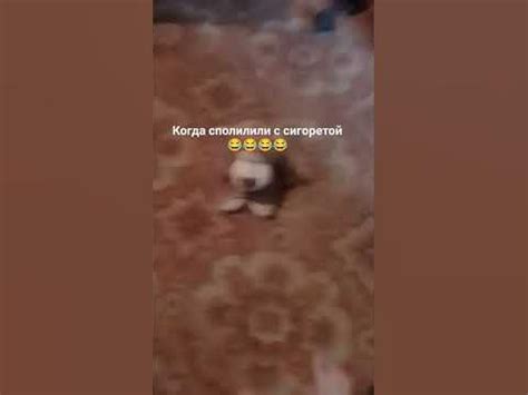 когда спалили с сигоретой 😂😂😂 - YouTube