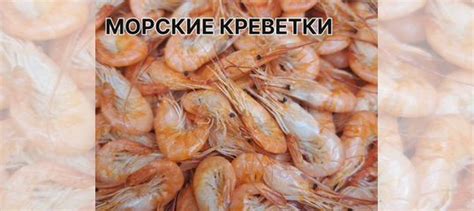 Креветка Черноморская купить в Москве | Товары для дома и дачи | Авито