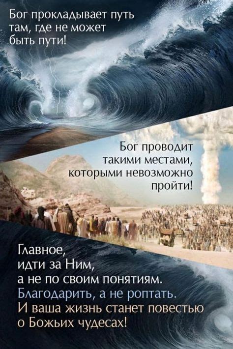 Идеи на тему «Свидетели иеговы» (440) в 2021 г | свидетели иеговы ...