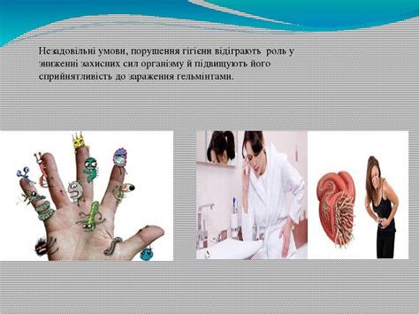 Імунітет