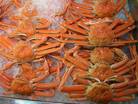 Kamchatka Crab Stock Photos, Pictures & Royalty-Free Images - iStock