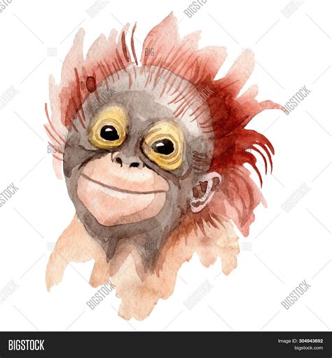 Exotic Monkey Wild Image & Photo (Free Trial) | Bigstock