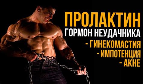 Пролактин в бодибилдинге: причины повышения, как понизить