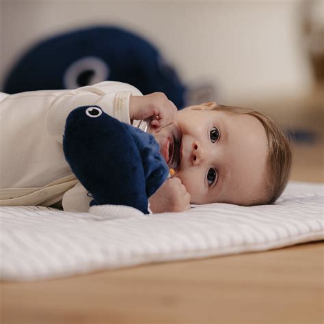 Baby | Dreambaby
