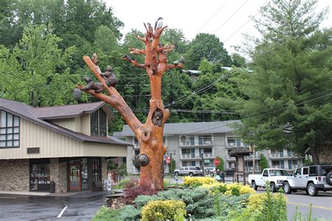 Gatlinburg Hotels - Choices Abound - Travel To Gatlinburg