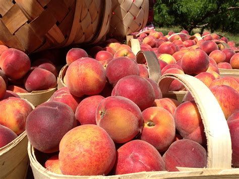 Georgia's Famous Foods You Must Try | Explore Georgia