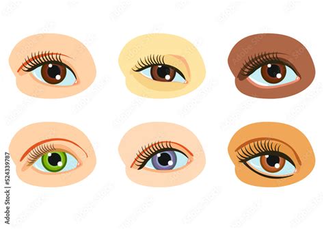 human eye eyes   color shape  race vector set