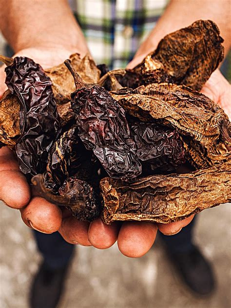 Chipotle Peppers: What They Are and How to Make Them | Spice and Life