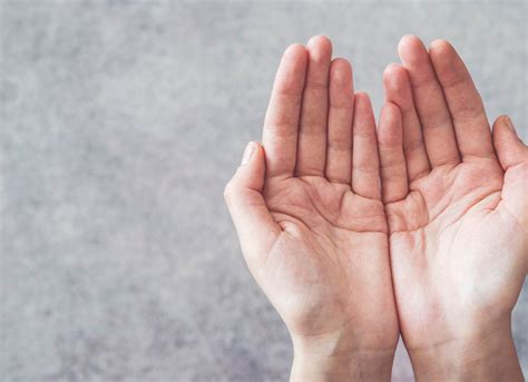 palm  understand  basics