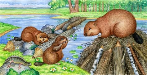 Иллюстрация Бобры в стиле книжная графика | Illustrators.ru