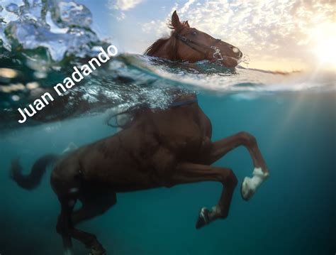 Top memes de juan en español :) Memedroid