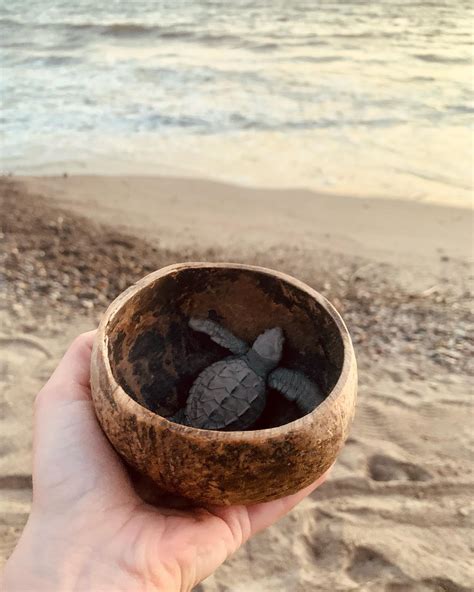 Adventure Awaits You In Puerto Vallarta, Mexico