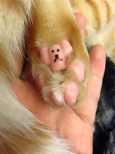 happy toe beans rtoebeans