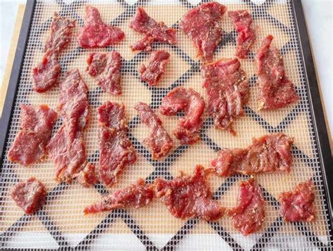 how to make beef jerky in a food dehydrator