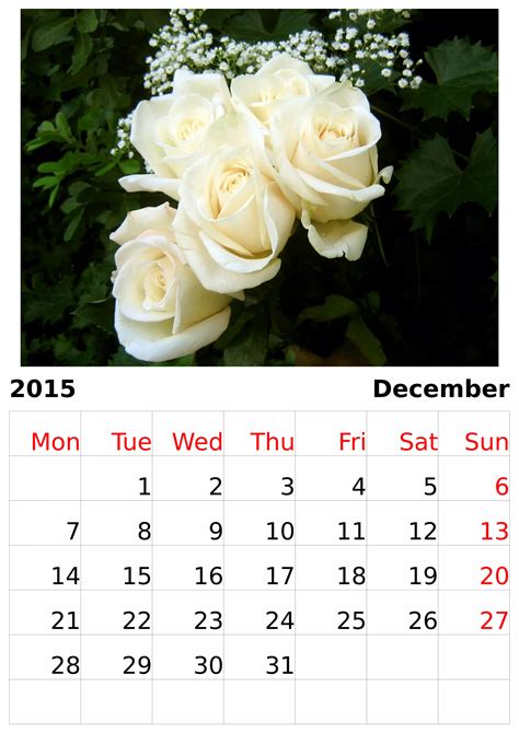 Roses Calendar 2015 | PDF
