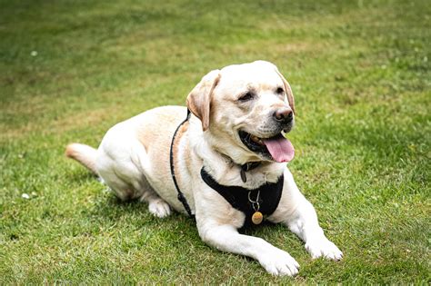 Tickling+Animated Photos, Download The BEST Free Tickling+Animated