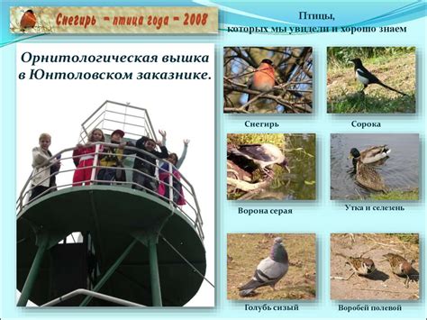 Юнтоловский заказник - презентация онлайн