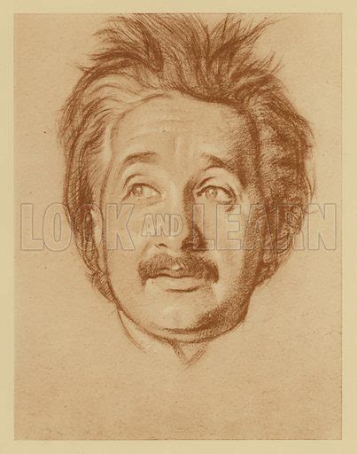 portrait  professor albert einstein stock image   learn