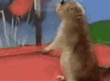Dramatic Gopher GIFs | Tenor