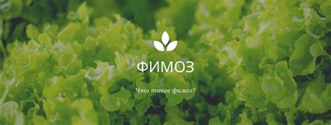 Фимоз операция