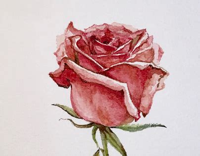 Rose Painting Realistic Art Projects :: Photos, videos, logos ...