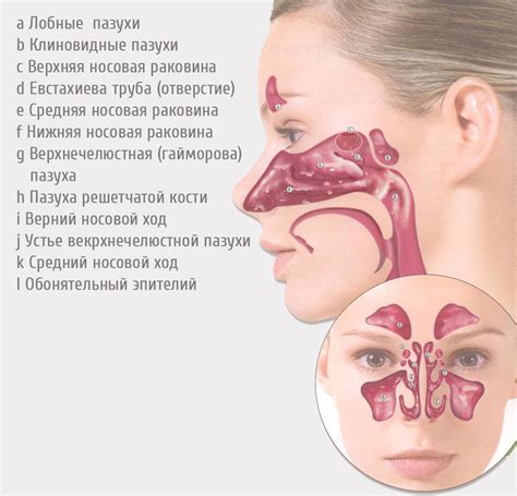 infecção rinovírus: sintomas e tratamento