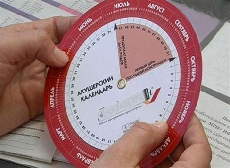Как рассчитать срок беременности - Статейный Клуб "АПП"