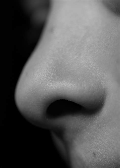 lost ansel adams photo nope carltonaut