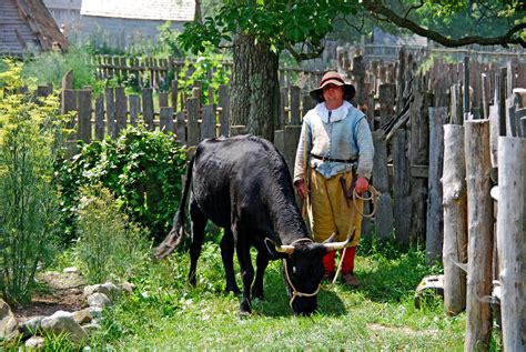 Man in blue dress shirt riding black horse during daytime photo – Free