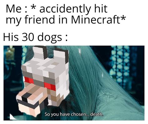 T - Meme by GrimRaven :) Memedroid