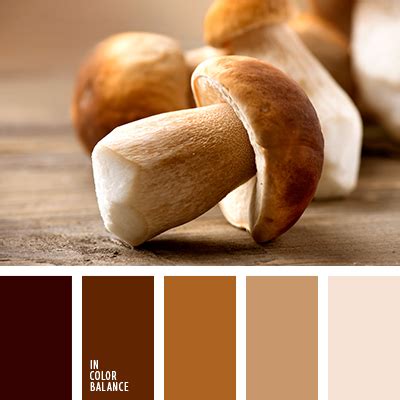 цвет коричневой глины | IN COLOR BALANCE