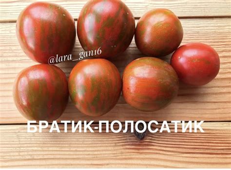 БРАТИК ПОЛОСАТИК | Томатная Коллекция - Редкие и эксклюзивные семена ...