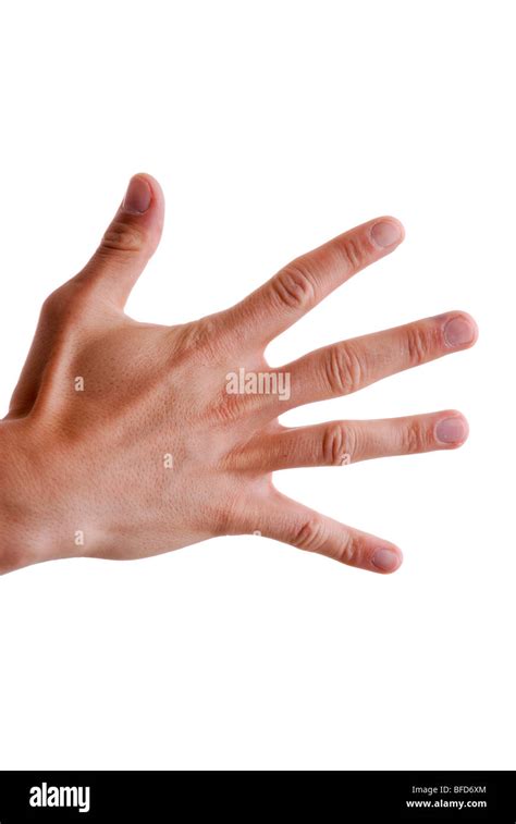 fingers  fingers  res stock photography  images alamy