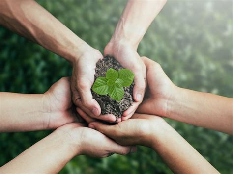 ISIF commits €278m to three climate investments