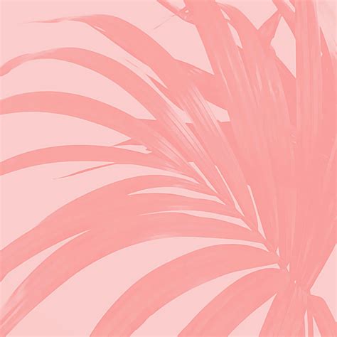 Pink Palm Leaves Wallpaper - Tropical Wall Art | Happywall