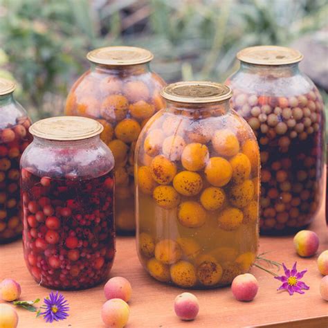15 Authentic Ukrainian Drinks: Alcoholic & Non-alcoholic